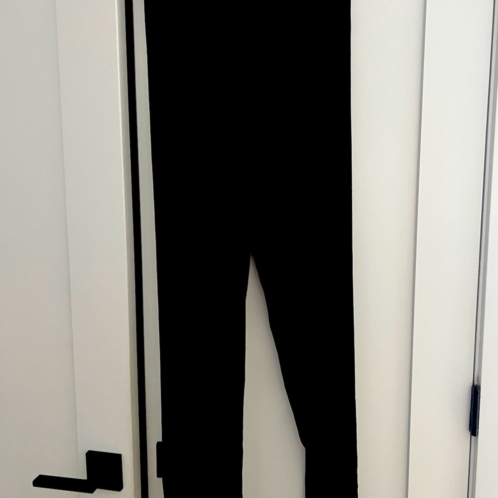 Eileen Fisher Velvet Black Leggings, Size L